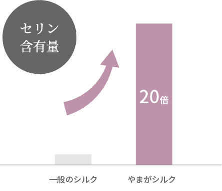 セリン含有量は一般のシルクの20倍